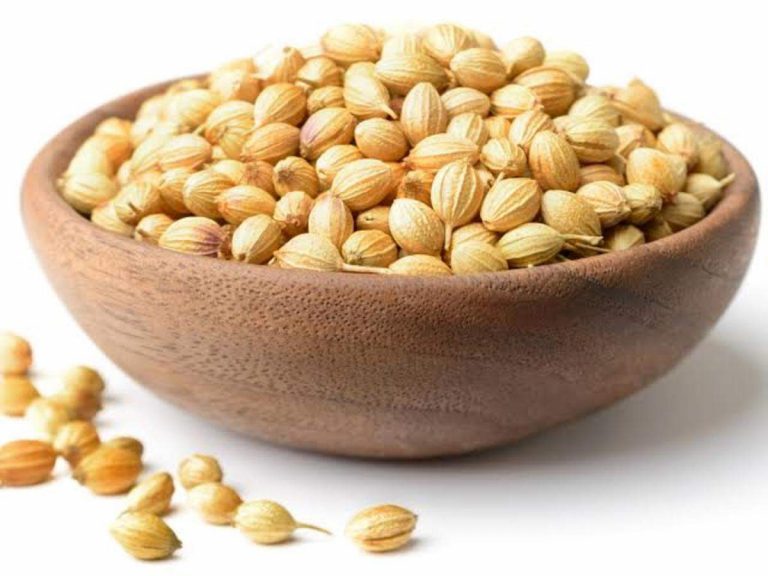 धनिये उत्पादन बढ़ाने के लिए वर्ल्ड वेबिनार