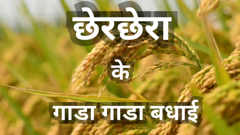 मुख्यमंत्री ने छेरछेरा तिहार की बधाई दी