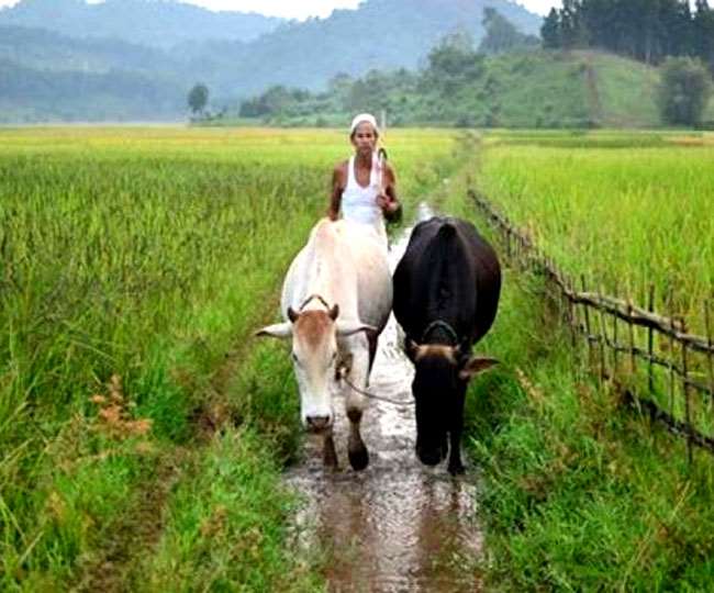 अपील की किसानों से अन्य फसल लेने की