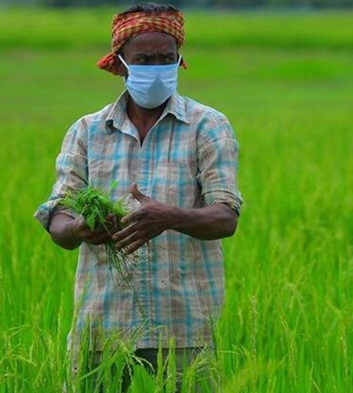अपील की किसानों से अन्य फसल लेने की